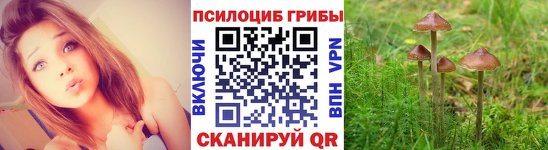 Псилоцибиновые грибы Magic Shrooms нарко площадка какой сайт Южно-Сахалинск закладки