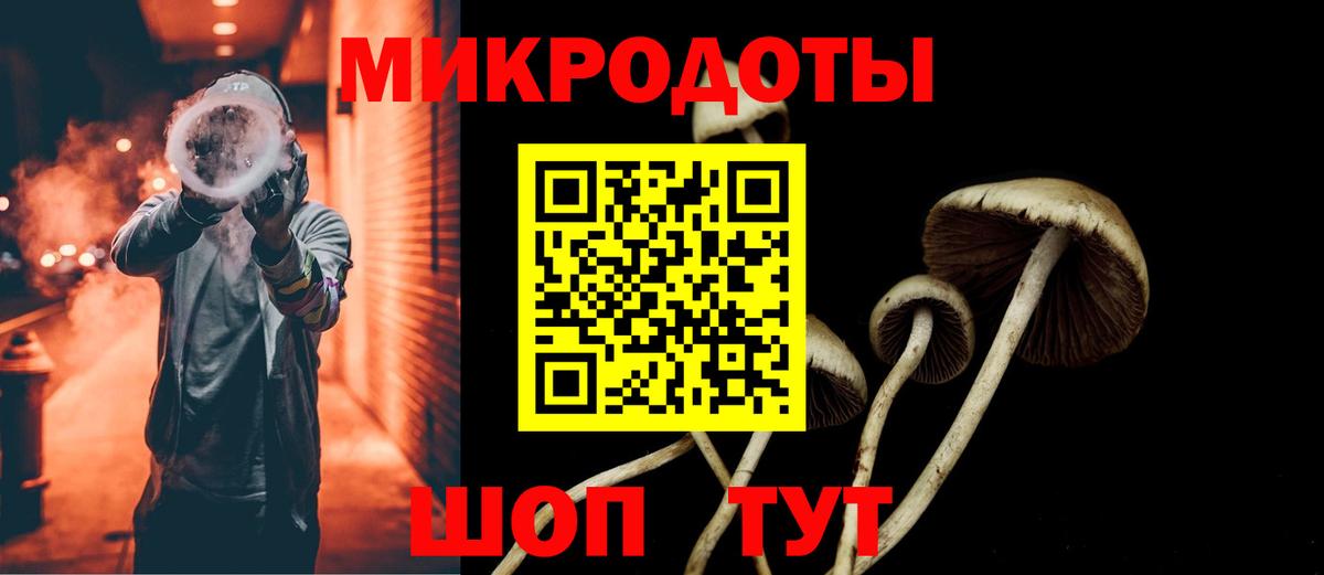 Южно-Сахалинск  Галлюциногенные грибы прущие грибы  Вход с VPN 